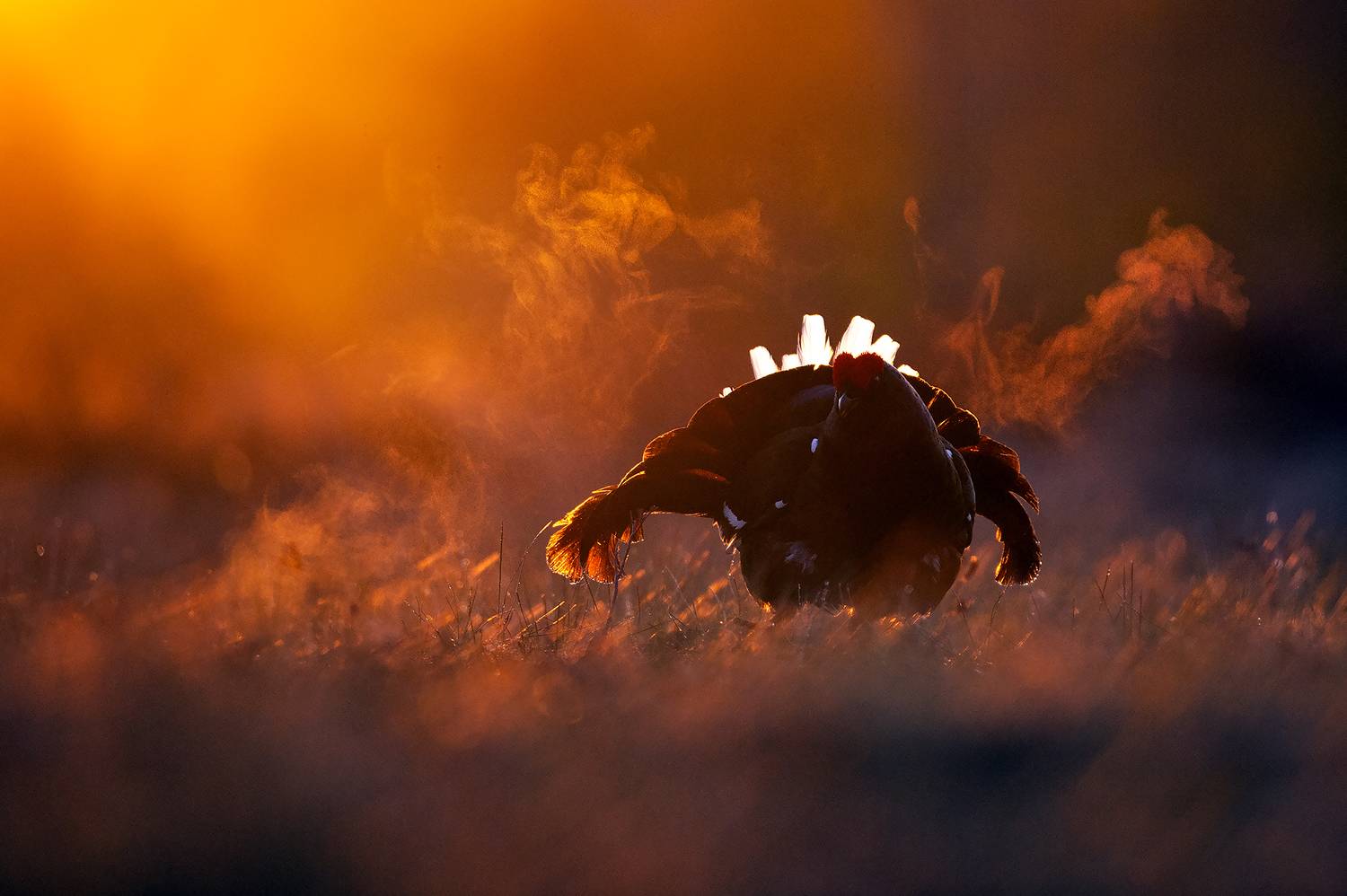 , Калинин Михаил