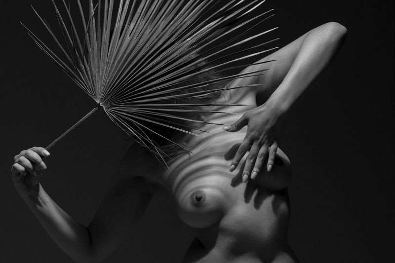 2024 фото превью