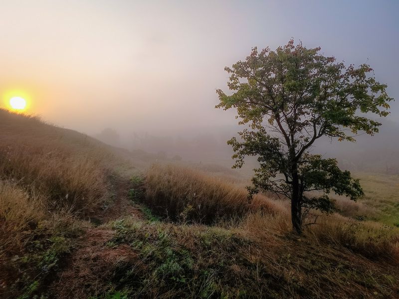 Лето катится под гору фото превью