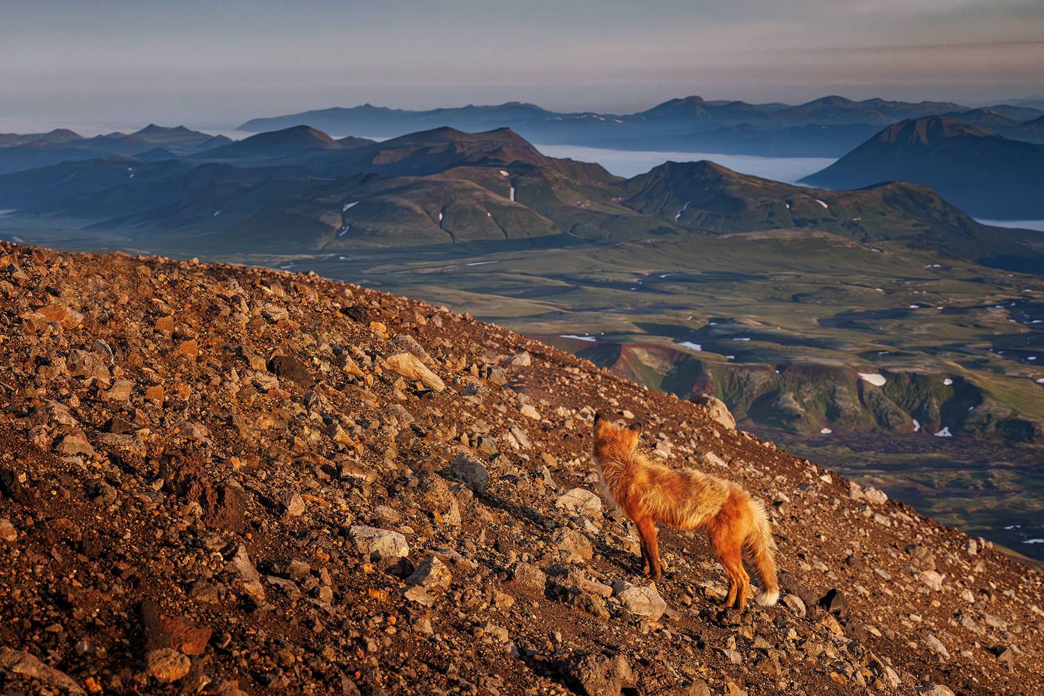 , Морозов Сергей
