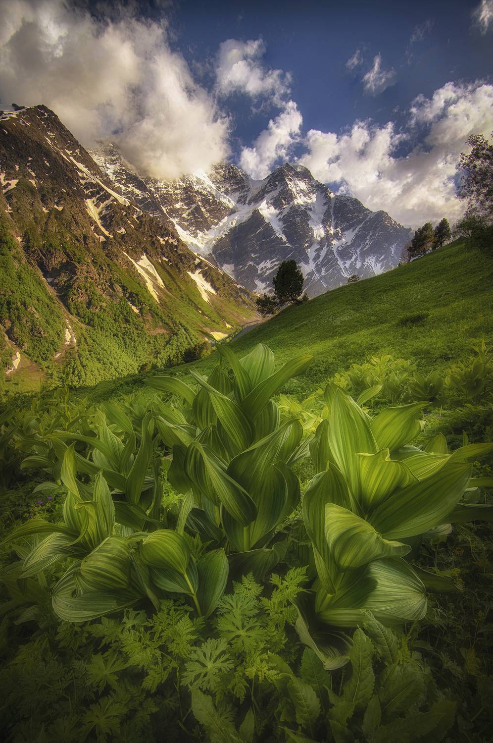 , Колобов Николай