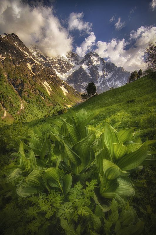 фото превью