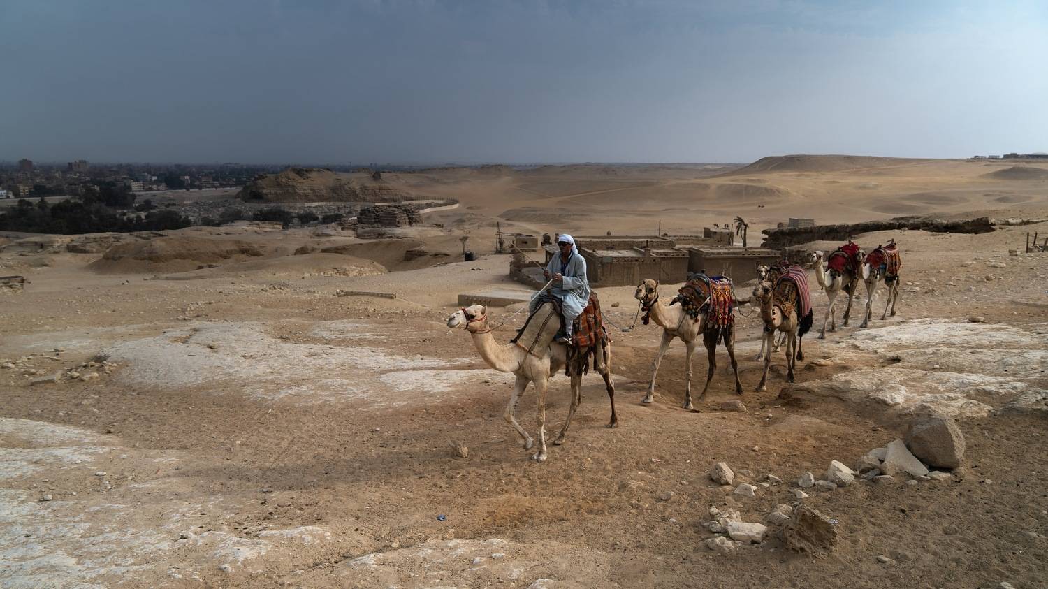 , Шимаковский Юрий