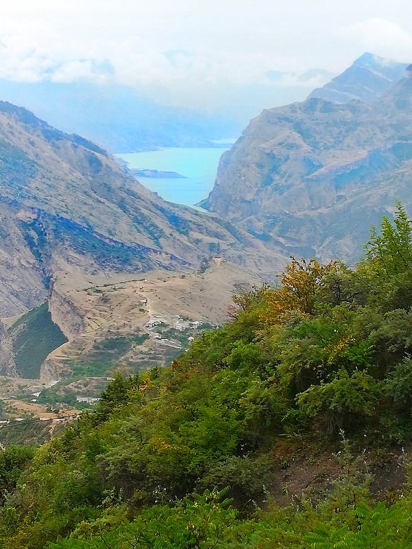 Дагестан, Шамилькала, Унцукуль, Кавказ, Аварское Койсу Аварское Койсу фото превью
