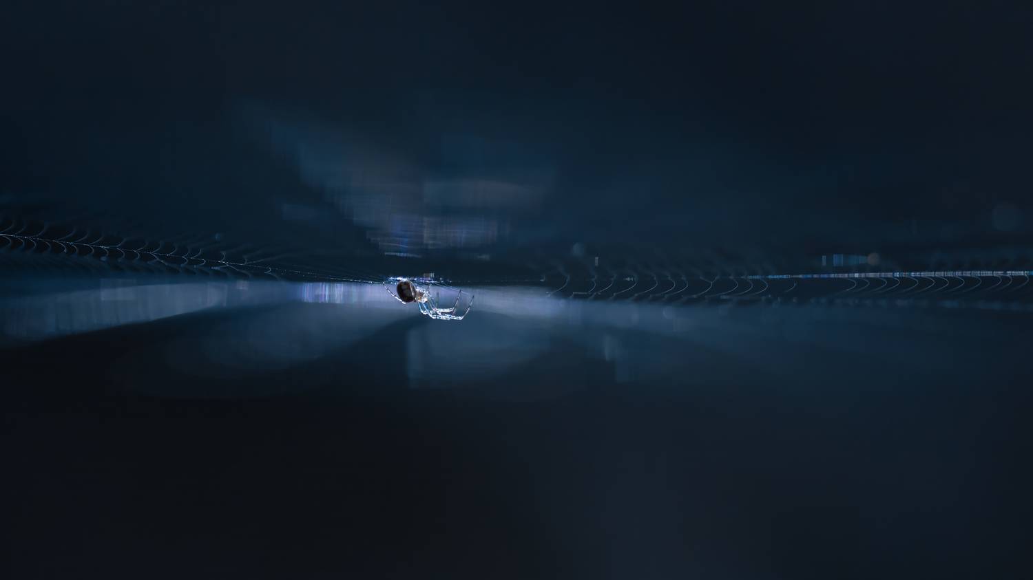 , Денис Пронин