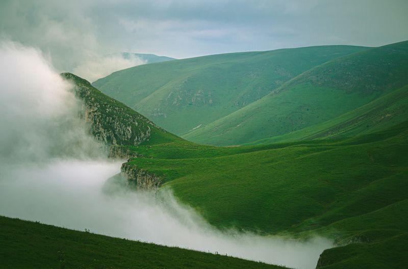 Димац фото превью