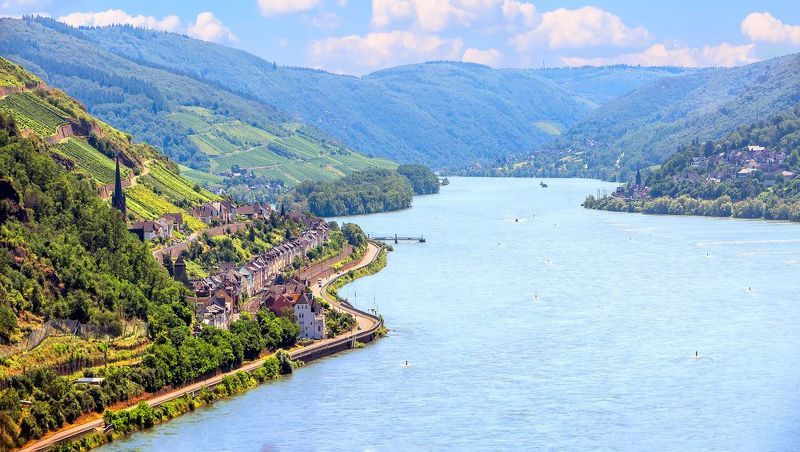 германия, рейн, река, лето, бахарах Река Рейн. Rhein фото превью