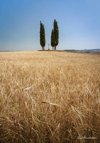 Tuscany