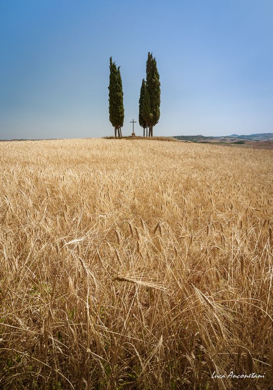 Tuscany фото превью
