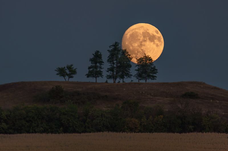 кавказ, вечер, закат, луна, полнолуние, восход луны Полнолуние фото превью