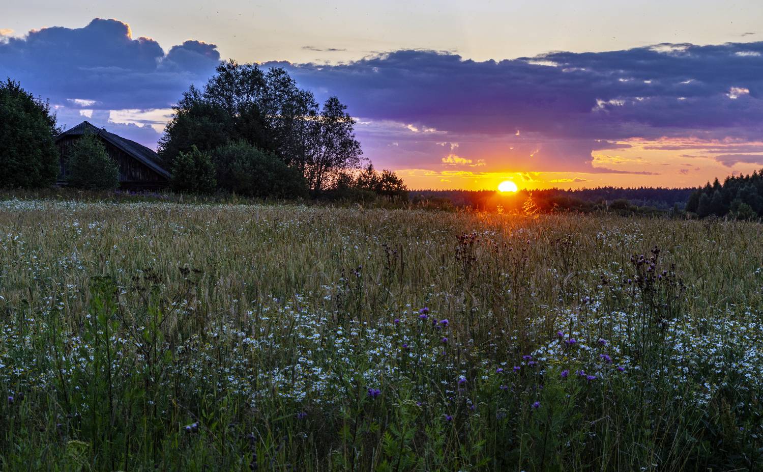 , Шитов Александр