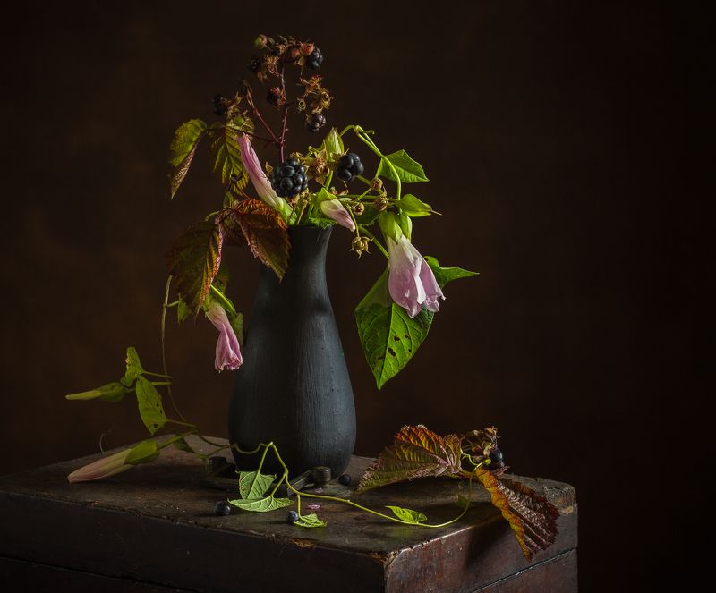 В плену у дикой ежевики фото превью