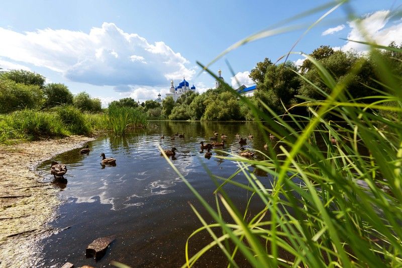 #россия Боголюбово, 07.2024г. фото превью