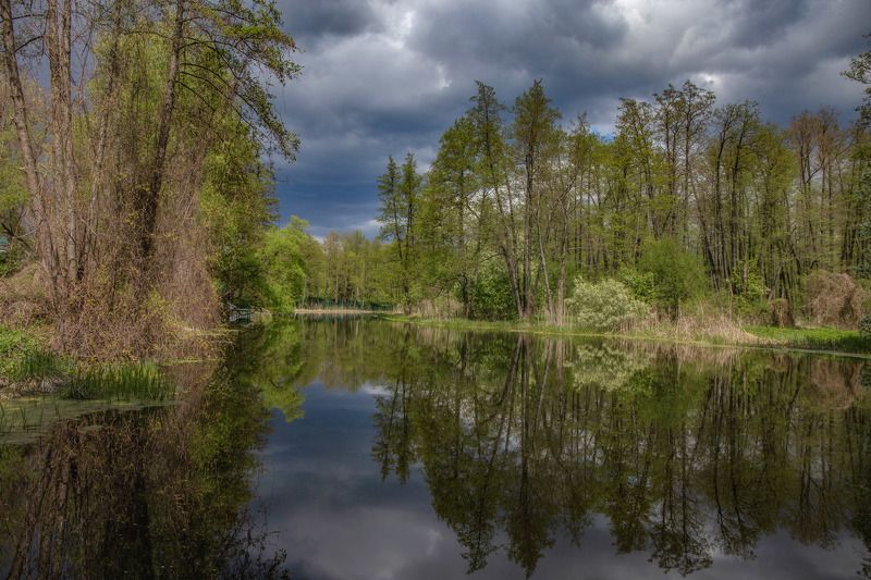 воронежская обл. р.усмань Перед дождем фото превью