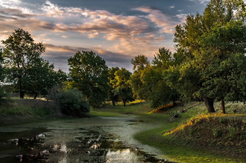 На закате фото превью