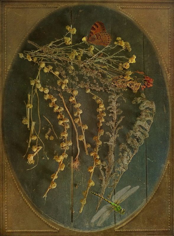 *** фото превью