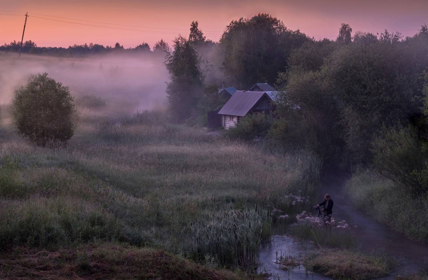вологодская область, ферапонтово, ferapontovo, vologda region, нд, русский север, когда не спится, туман, туманы, туманы нд, Демкина Надежда