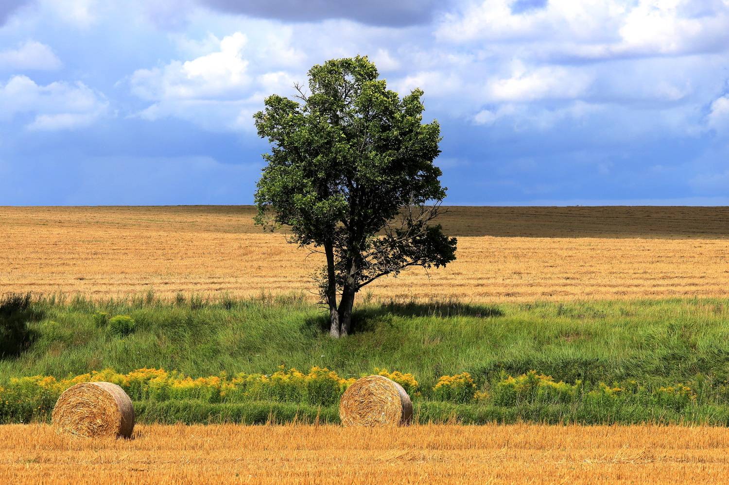 , Колосова Елена