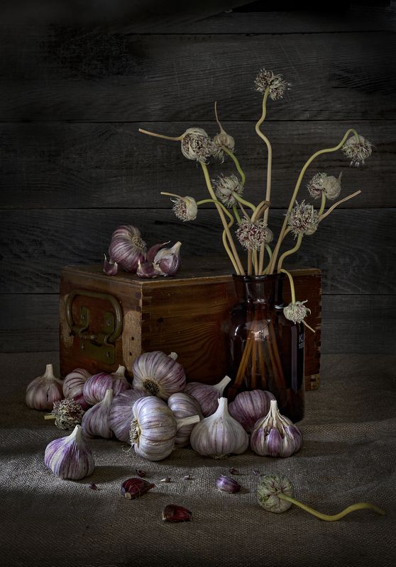 осень,урожай,чеснок, чеснок фото превью