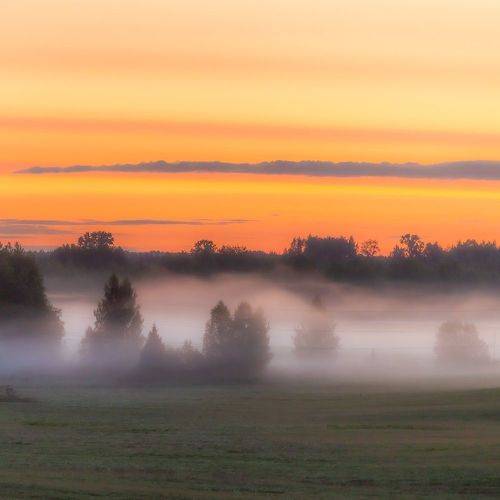 Однажды на рассвете