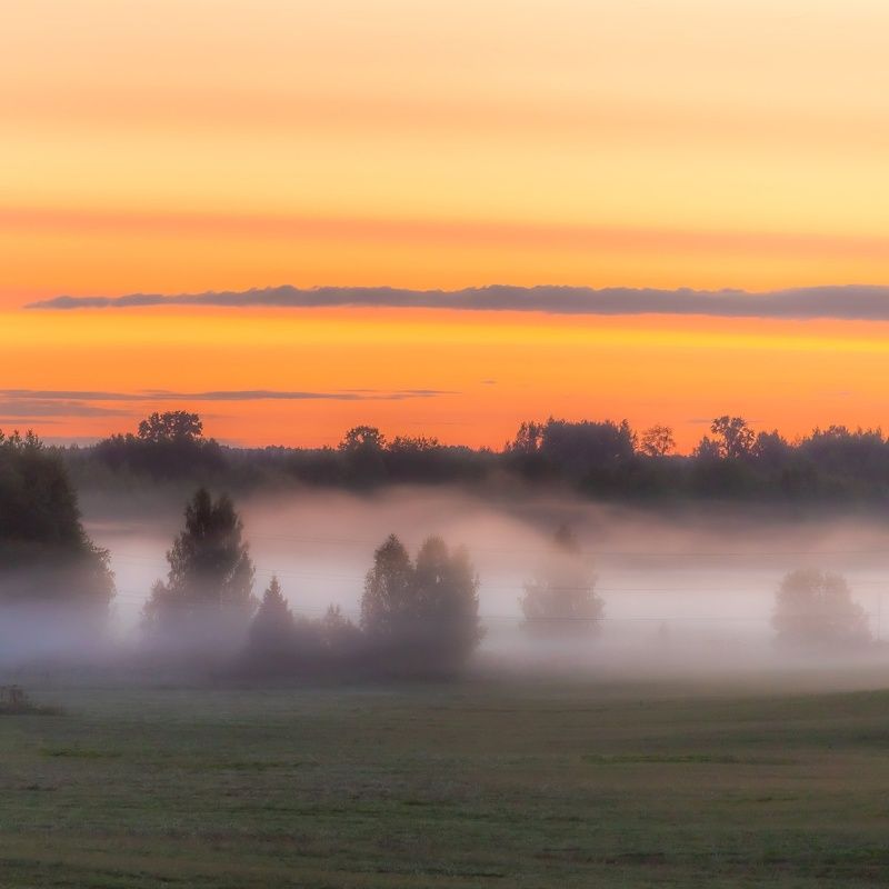 туман, утро, Киров, Вятка, поле, небо, рассвет, тепло, природа, Россия, лес,  Однажды на рассвете фото превью