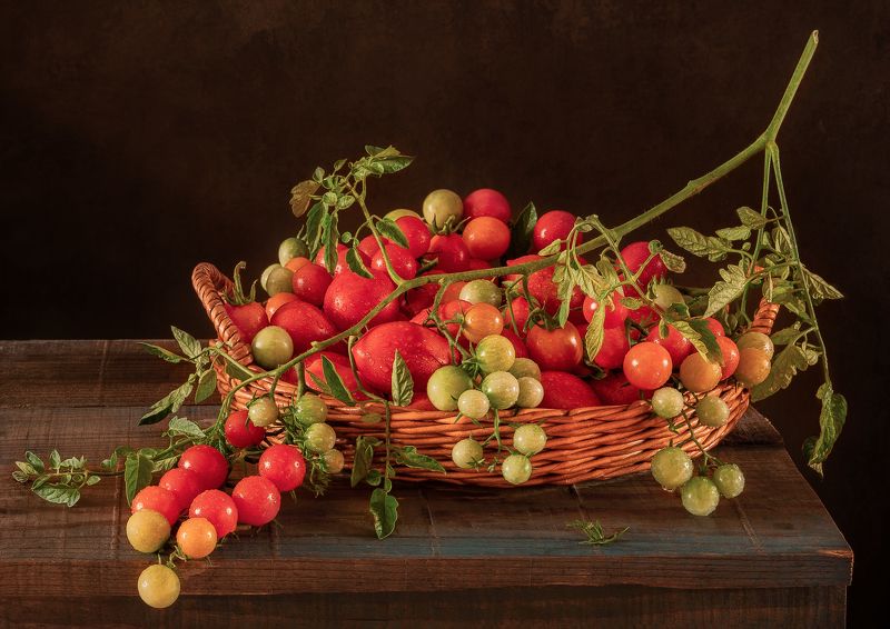 Помидорки на веточке. фото превью