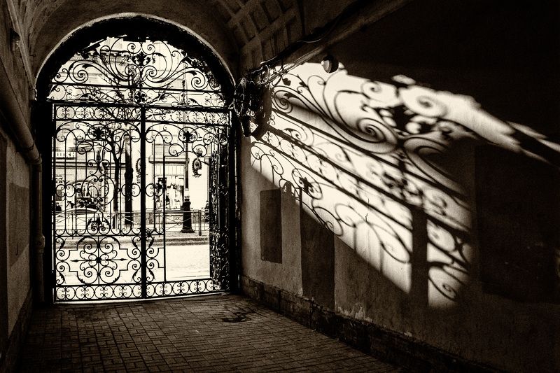 Pro свет фото превью