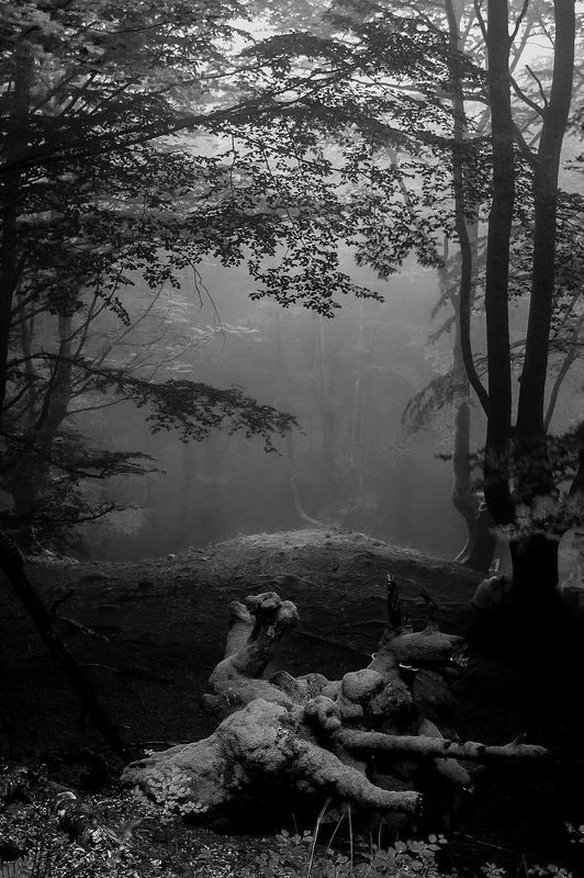 Ambientes фото превью