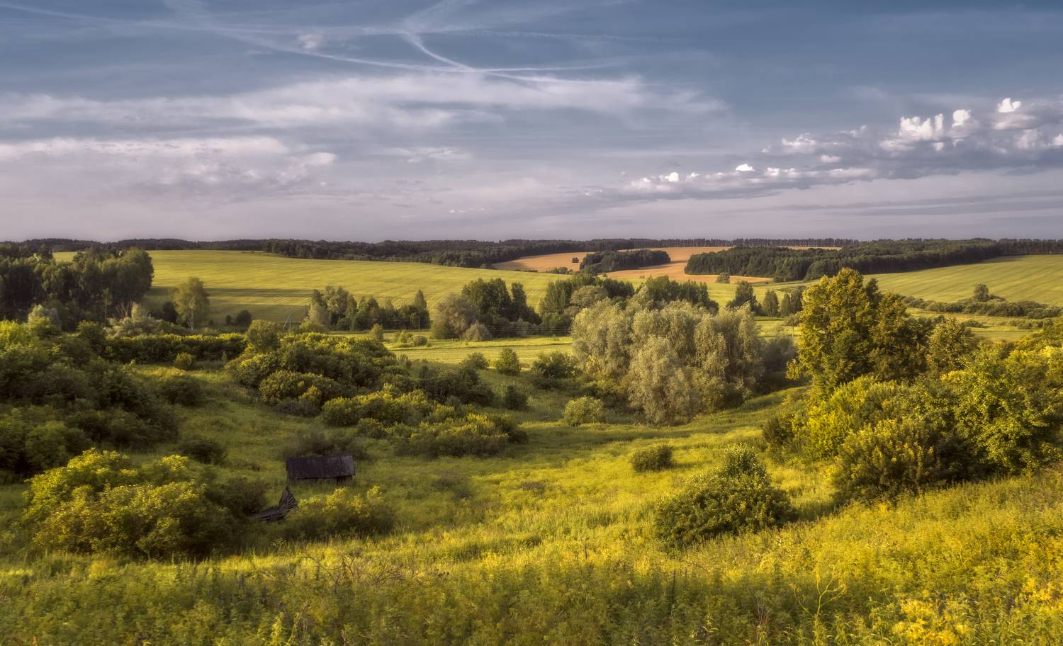 лето, вечер, Колесов Андрей