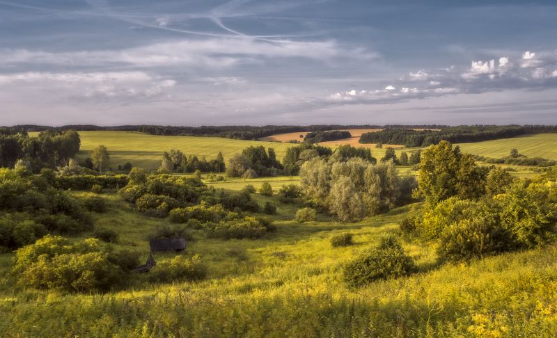 лето, вечер Летний вечер в Жедрино фото превью