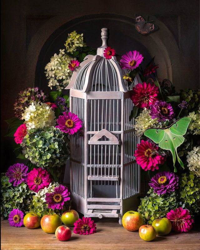 Bird Cage фото превью