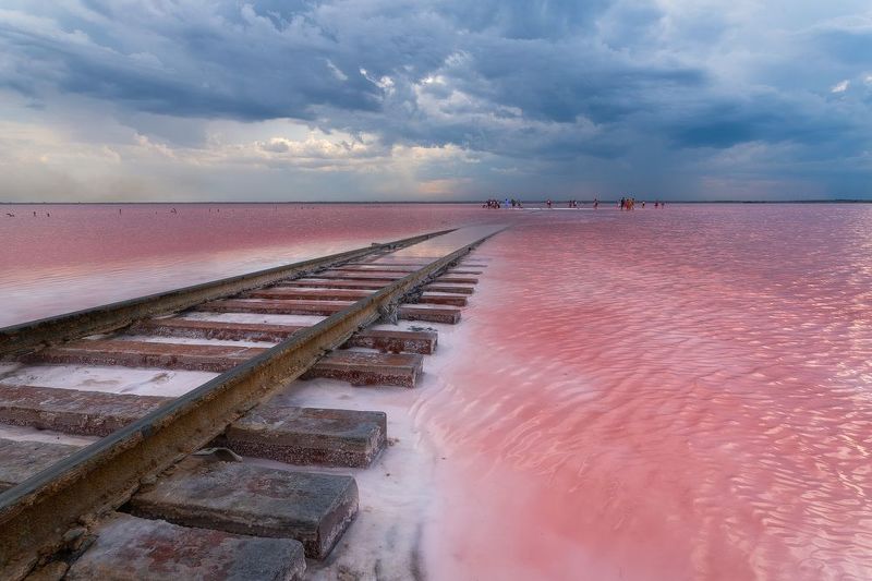 Розовые мечты фото превью