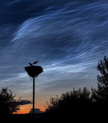 Под серебристыми облаками