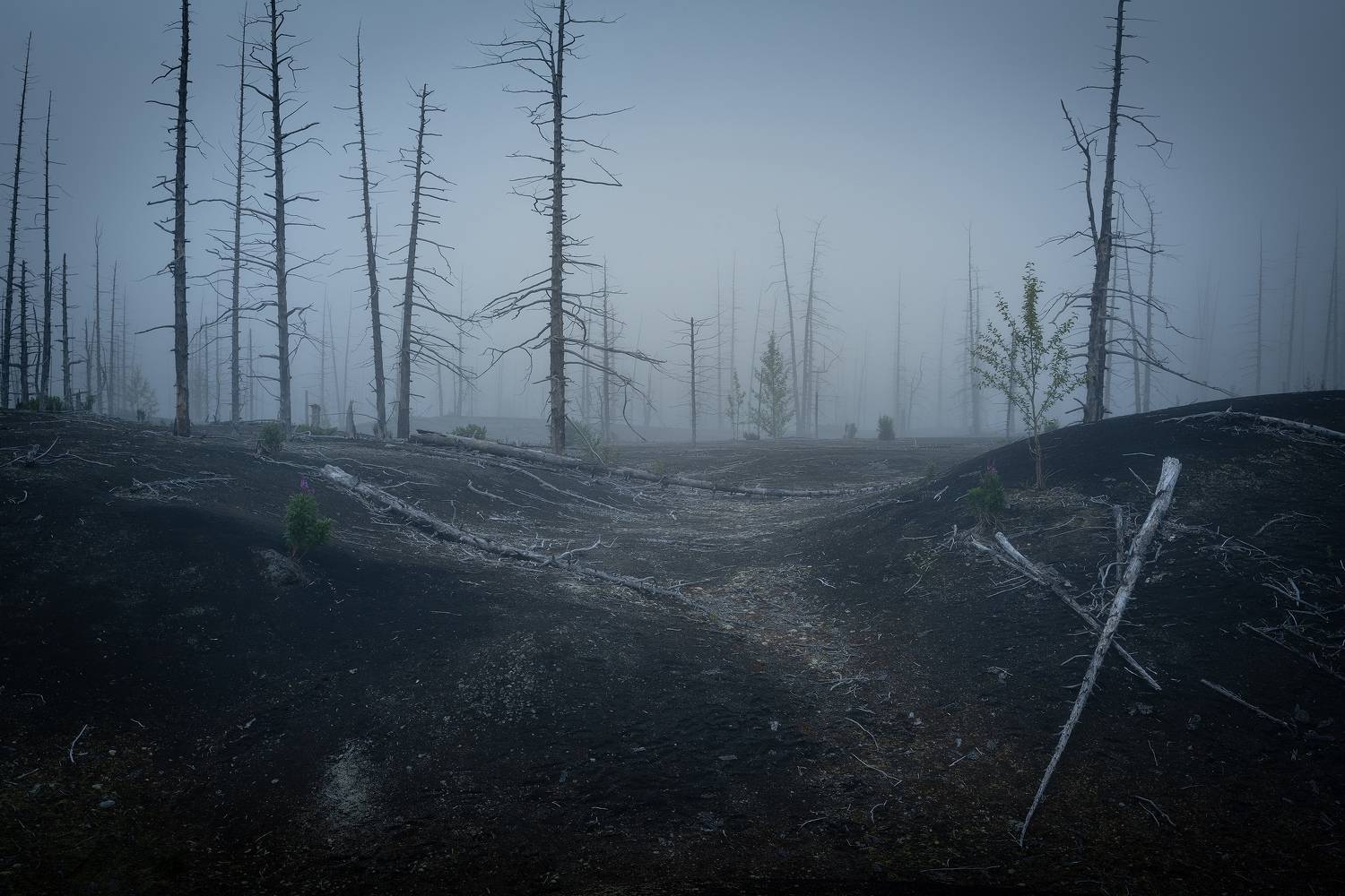 , Константин Калинин