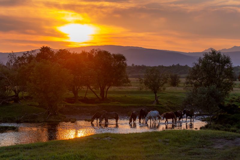 Август. Вечер. Саяны. фото превью