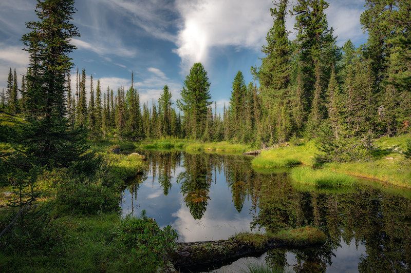 Таежные озера фото превью