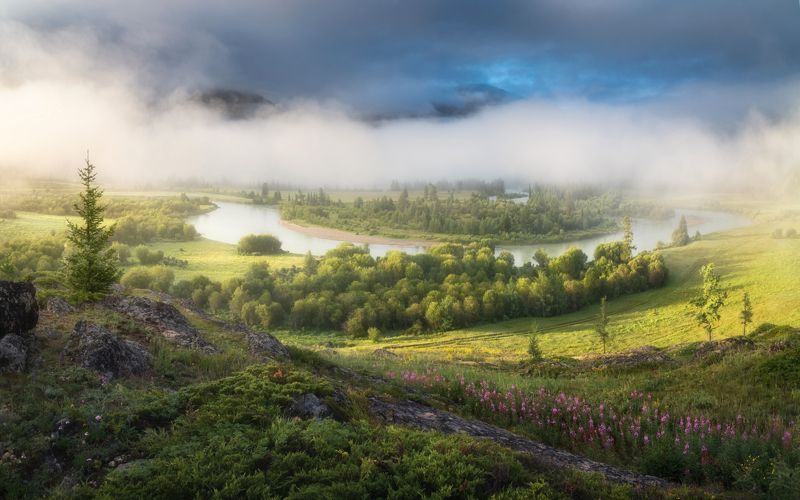 алтай, горный алтай, пейзажи алтая, кош-агачский район, горная река, лето на алтае, горы, летний алтай, горная тайга Туманы Ак-Алахи фото превью
