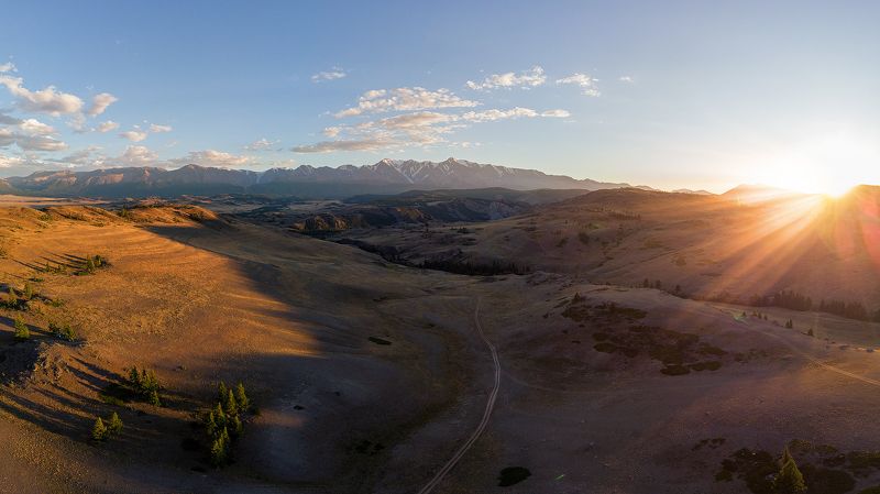 Курай фото превью