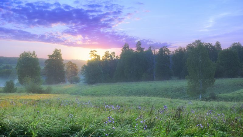 Ранним утром, в середине лета. фото превью