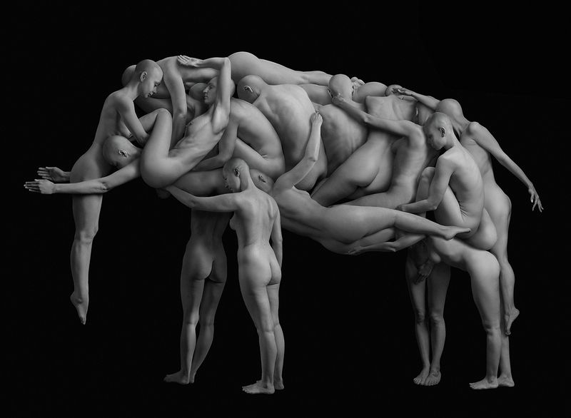 Elephant фото превью