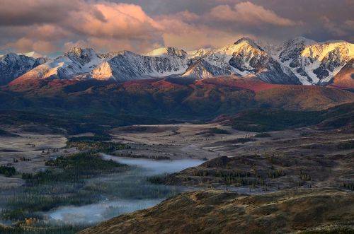 Утро в Курайской степи