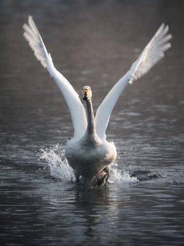 На взлётной полосе.