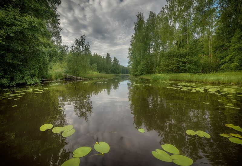 **** фото превью