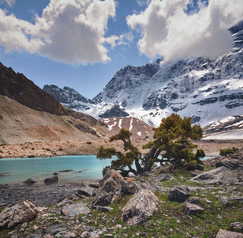 таджикистан, фанские горы, утро, дерево арча, озеро, стена мирали Фанские горы фото превью