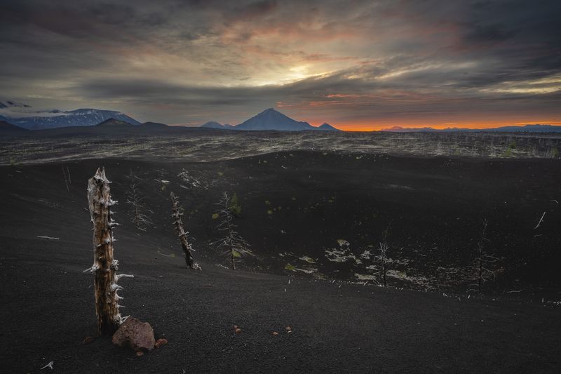 камчатка, рассвет, толбачик, мертвый лес, вулканический песок Вулканические дюны с мертвыми деревьями. На горизонте вулкан Толбачик. Рассвет. фото превью