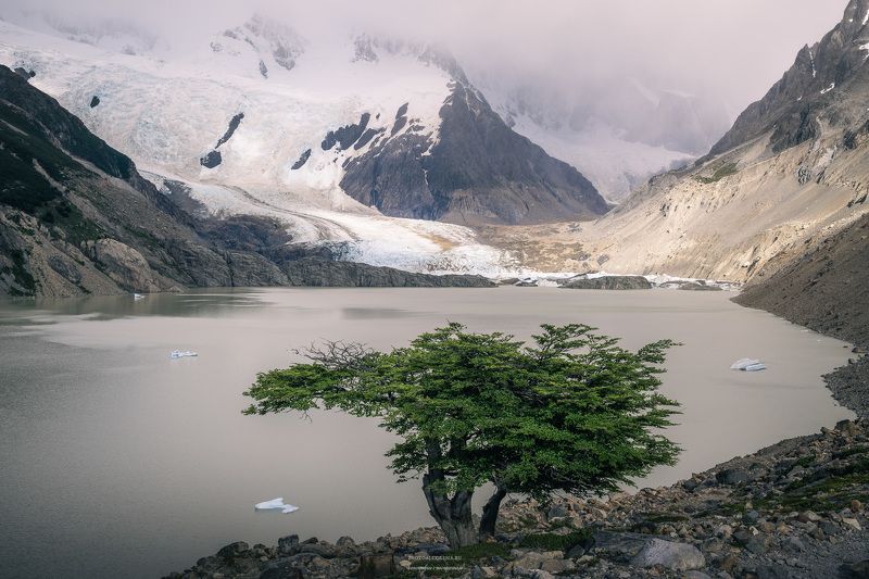 Аргентина, Патагония, лагуна,Торре, ледник, горы С видом на ледник фото превью