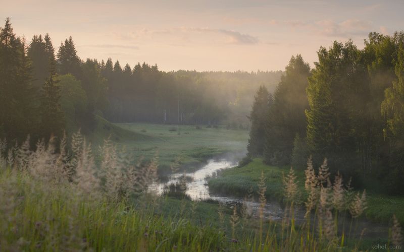 река лемовжа, ленинградская область, туман на реке Утро на реке Лемовжа фото превью