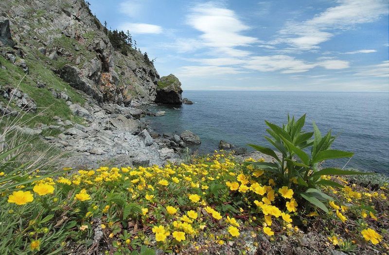 татарский пролив, дальний восток Жёлтая дорога фото превью