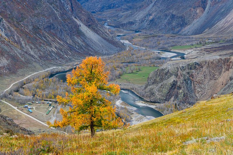 алтай, осень, горы Долина Чулышман фото превью