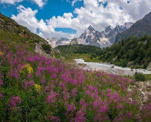 Открытка из гор